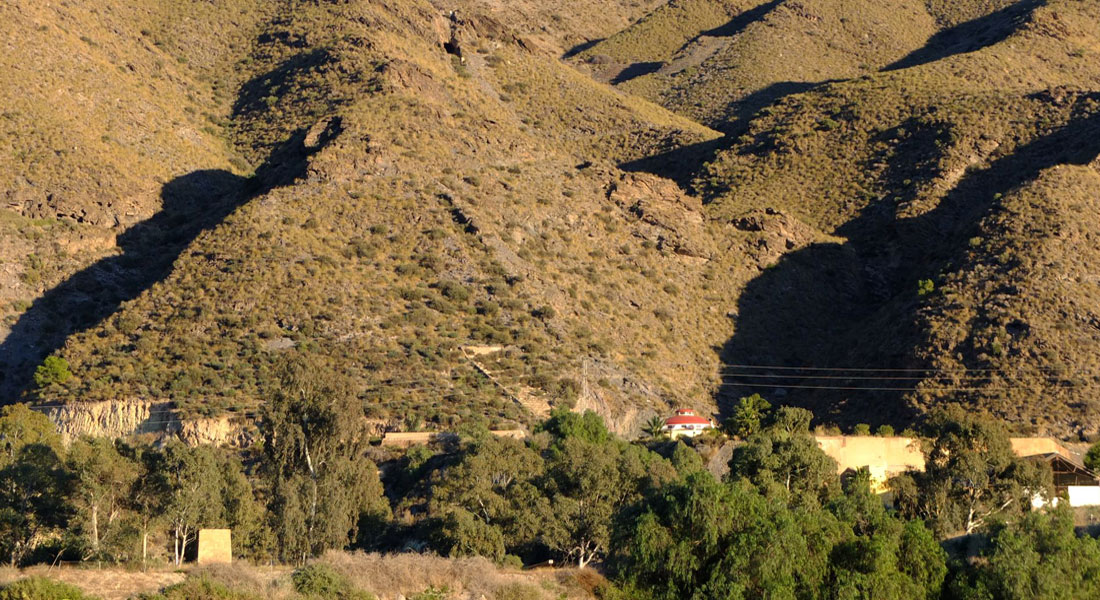 Steps at El Arteal
