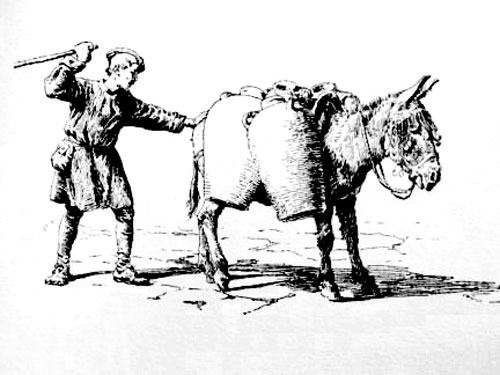 Photo of a donkey carrying water